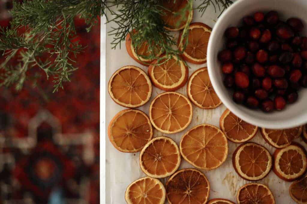 How to Make Dried Orange and Cranberry Garland {Tutorial}