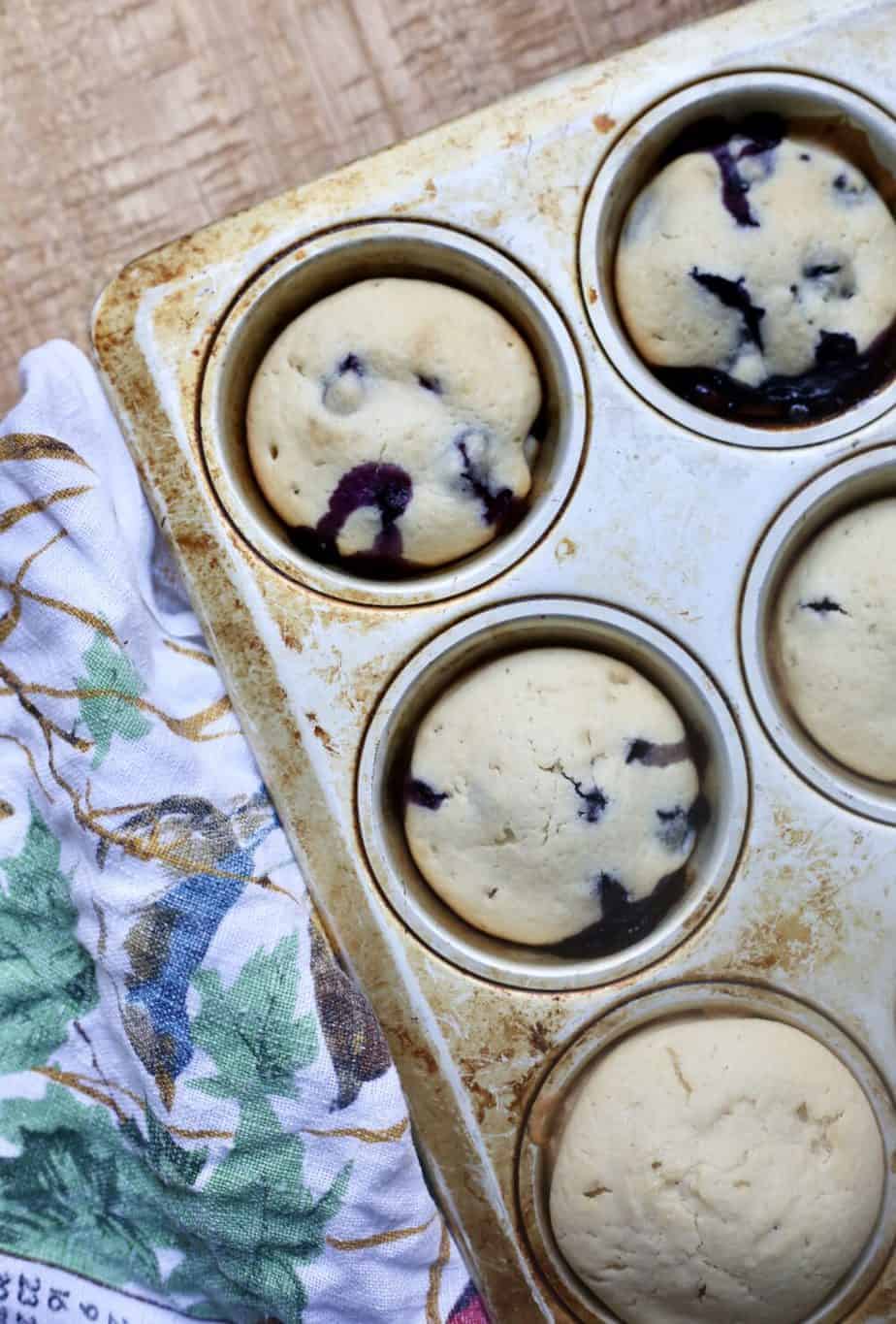 Simple Blueberry Muffins
