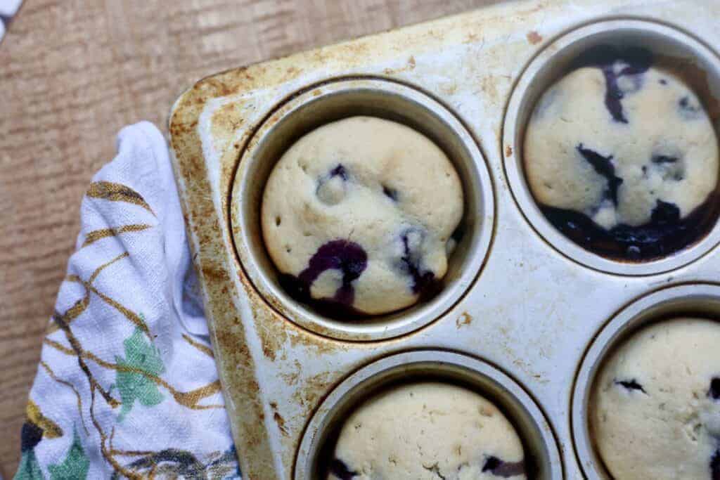 Simple Blueberry Muffins The Vanilla Tulip