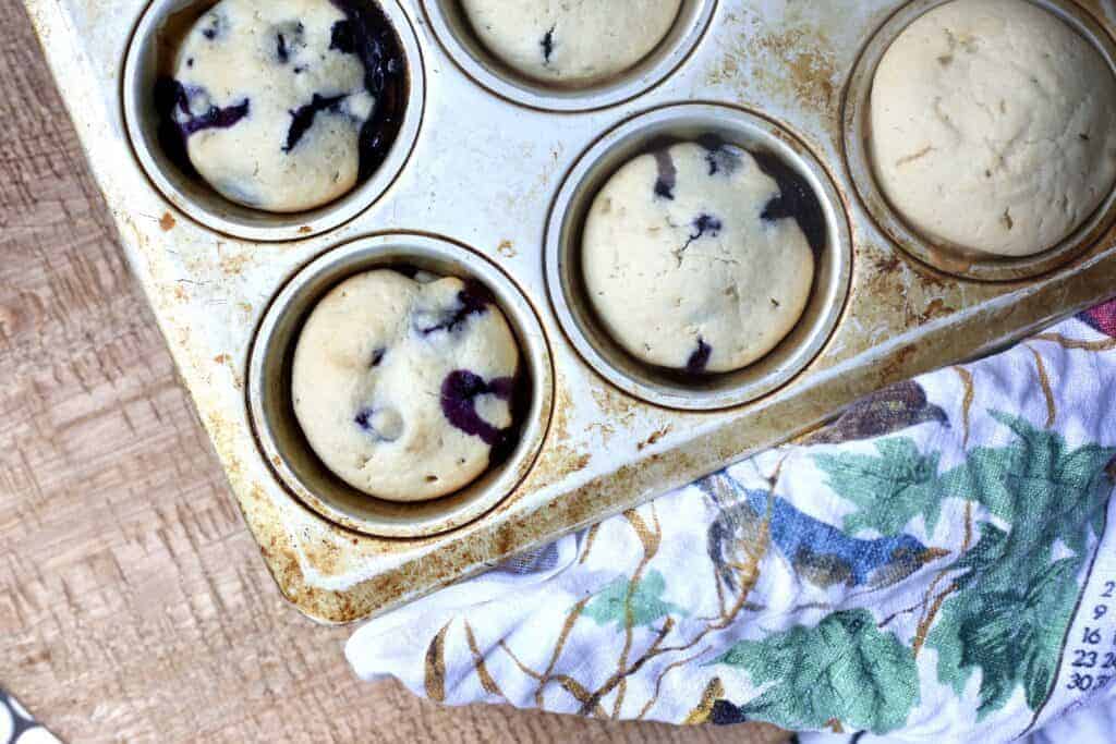 Blueberry Muffin Tops (4 pack)